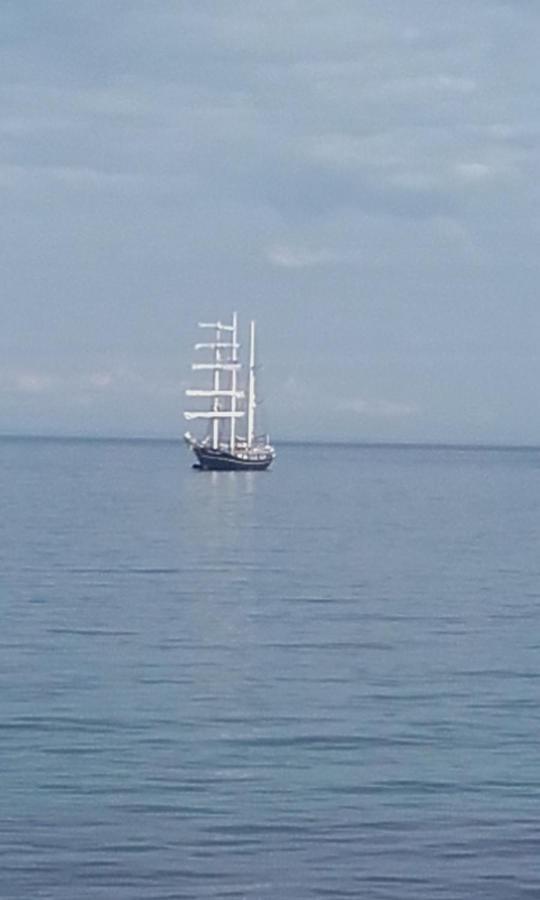 Channel Vista Glenarm Экстерьер фото