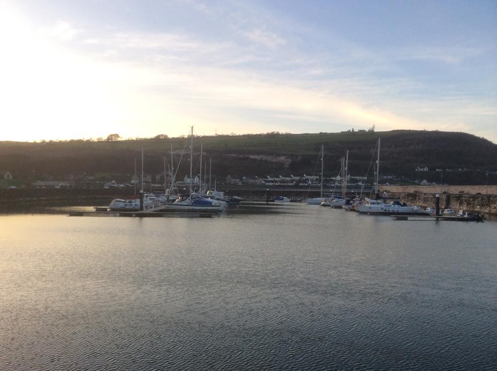 Channel Vista Glenarm Экстерьер фото